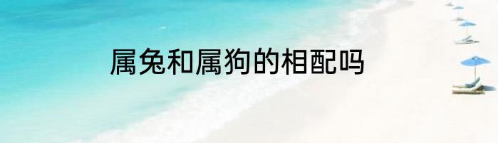 属兔和属狗的相配吗