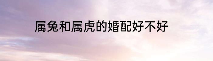 属兔和属虎的婚配好不好