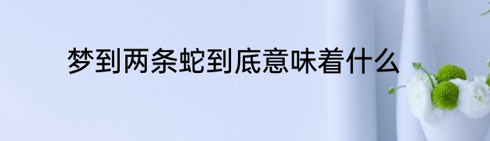 梦到两条蛇到底意味着什么