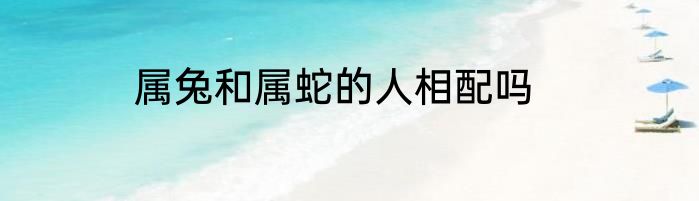 属兔和属蛇的人相配吗