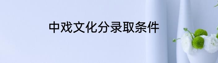 中戏文化分录取条件