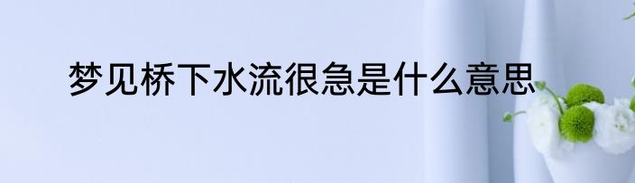 梦见桥下水流很急是什么意思