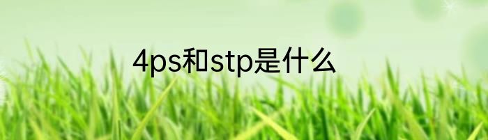 4ps和stp是什么