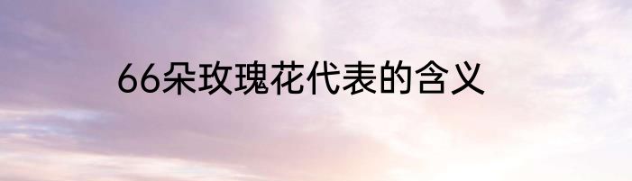 66朵玫瑰花代表的含义
