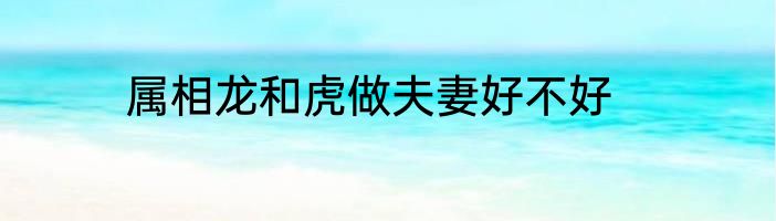 属相龙和虎做夫妻好不好