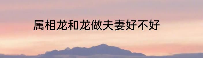 属相龙和龙做夫妻好不好