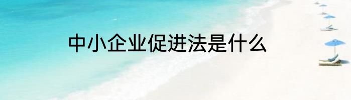 中小企业促进法是什么