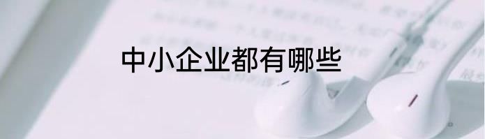 中小企业都有哪些