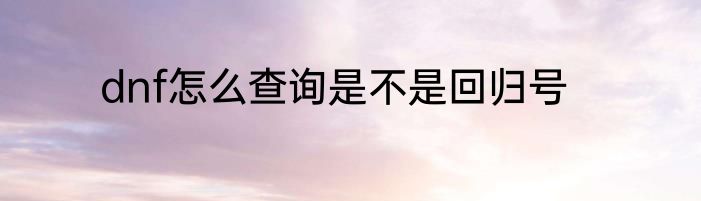 dnf怎么查询是不是回归号
