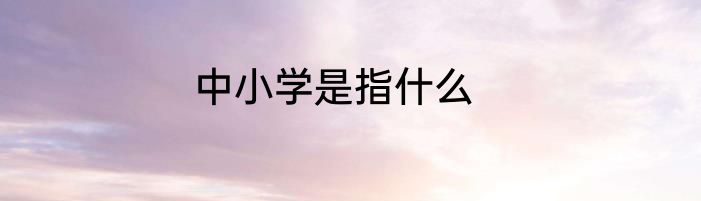 中小学是指什么
