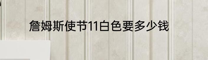 詹姆斯使节11白色要多少钱
