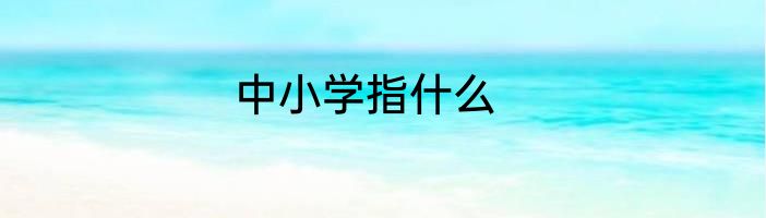 中小学指什么