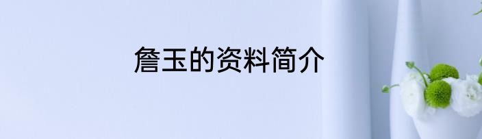 詹玉的资料简介