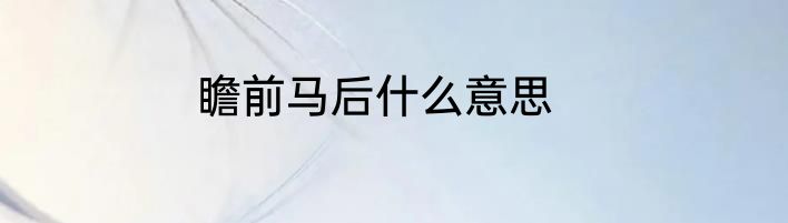 瞻前马后什么意思