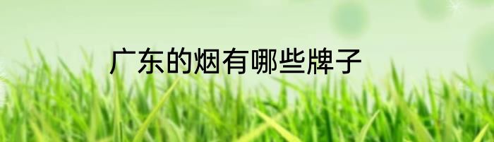 广东的烟有哪些牌子