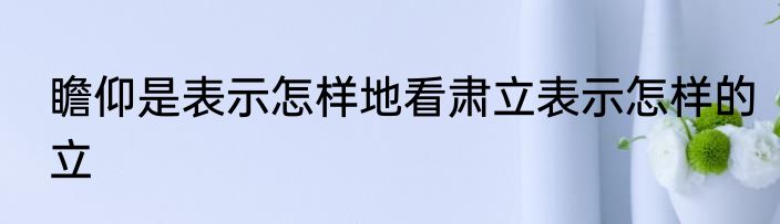 瞻仰是表示怎样地看肃立表示怎样的立