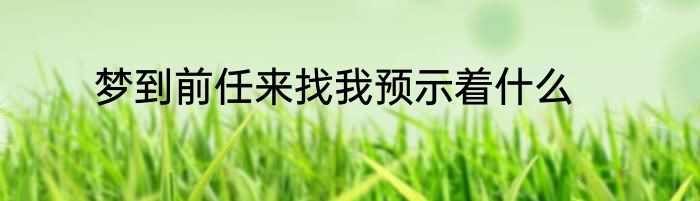 梦到前任来找我预示着什么