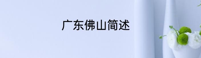 广东佛山简述