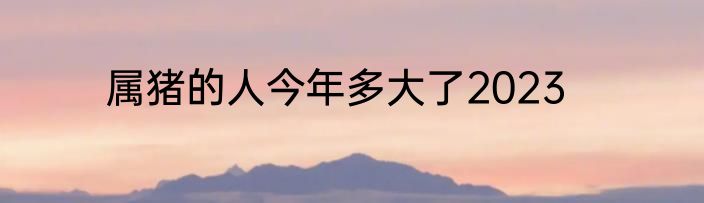 属猪的人今年多大了2023