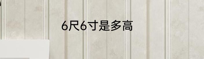 6尺6寸是多高