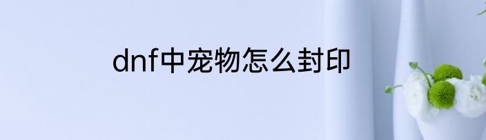 dnf中宠物怎么封印