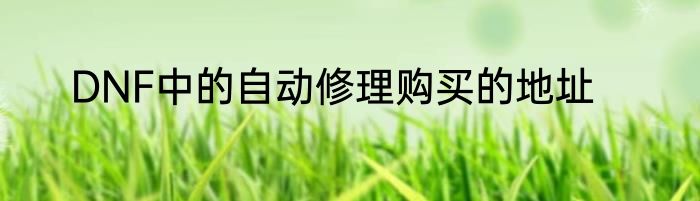 DNF中的自动修理购买的地址