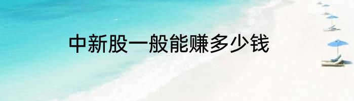 中新股一般能赚多少钱
