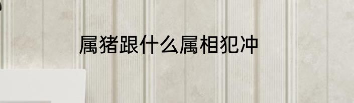 属猪跟什么属相犯冲