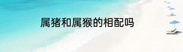 属猪和属猴的相配吗