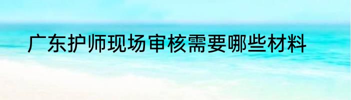 广东护师现场审核需要哪些材料