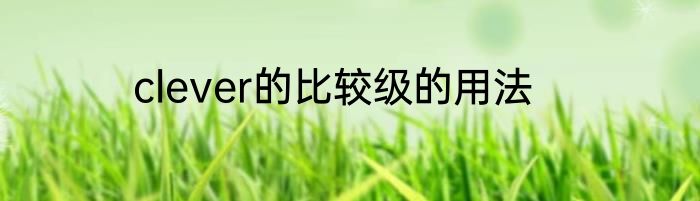 clever的比较级的用法