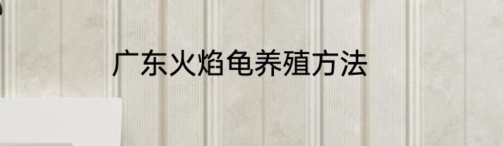 广东火焰龟养殖方法