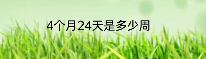 4个月24天是多少周