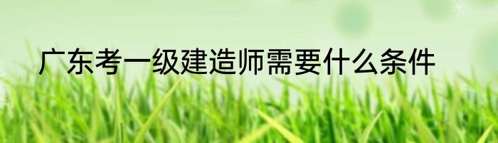 广东考一级建造师需要什么条件
