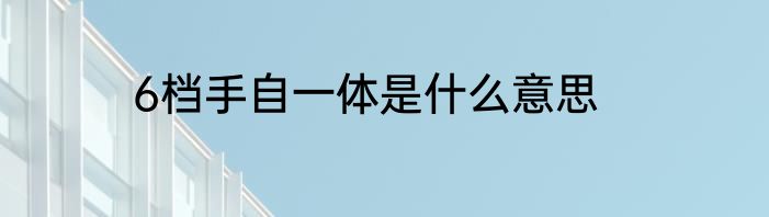 6档手自一体是什么意思