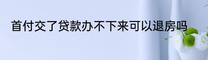 首付交了贷款办不下来可以退房吗