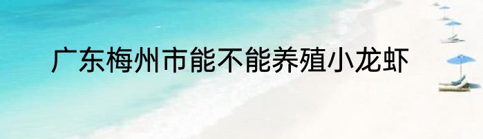 广东梅州市能不能养殖小龙虾