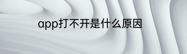 app打不开是什么原因
