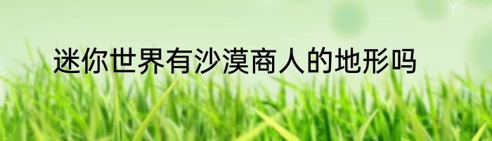 迷你世界有沙漠商人的地形吗