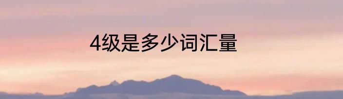 4级是多少词汇量