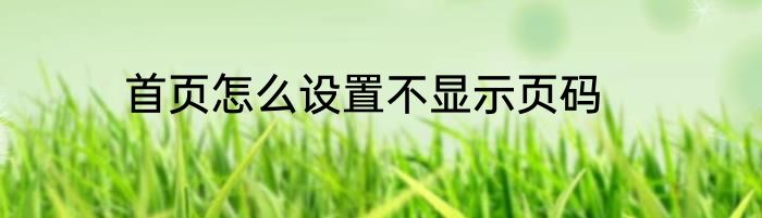 首页怎么设置不显示页码