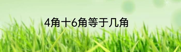 4角十6角等于几角