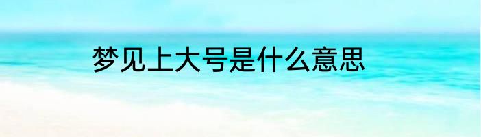 梦见上大号是什么意思