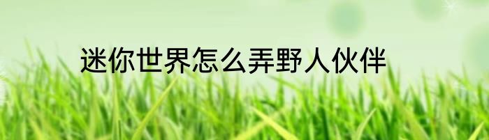 迷你世界怎么弄野人伙伴