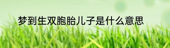 梦到生双胞胎儿子是什么意思