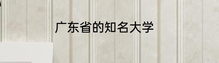 广东省的知名大学