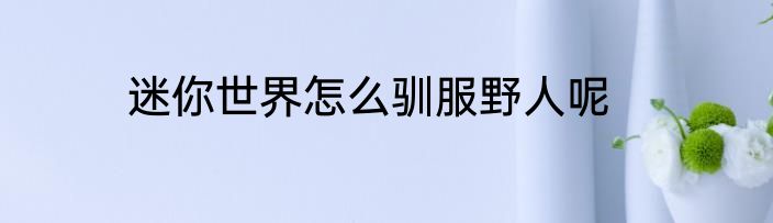迷你世界怎么驯服野人呢