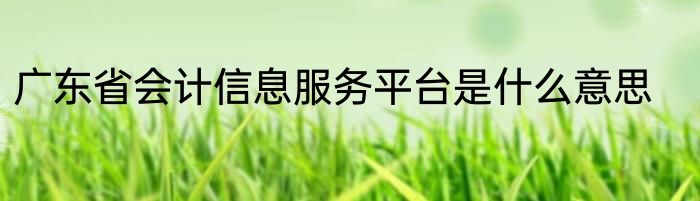 广东省会计信息服务平台是什么意思