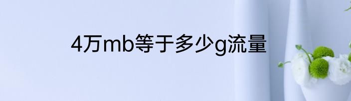 4万mb等于多少g流量