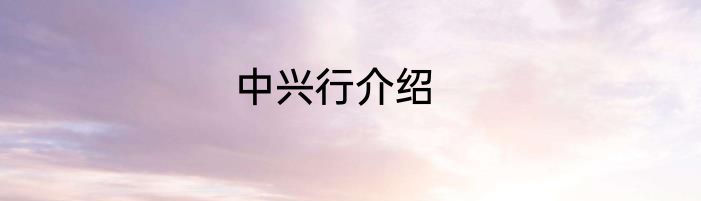 中兴行介绍